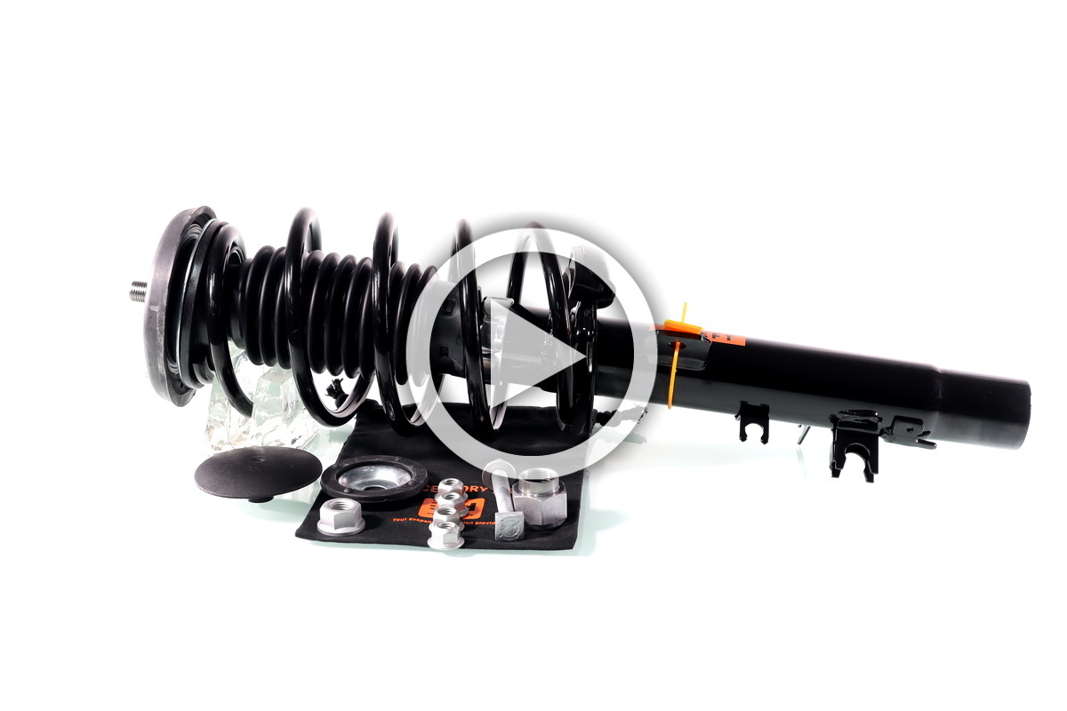 854S0805 RIDEX Amortisseur Essieu Avant, Pression De Gaz