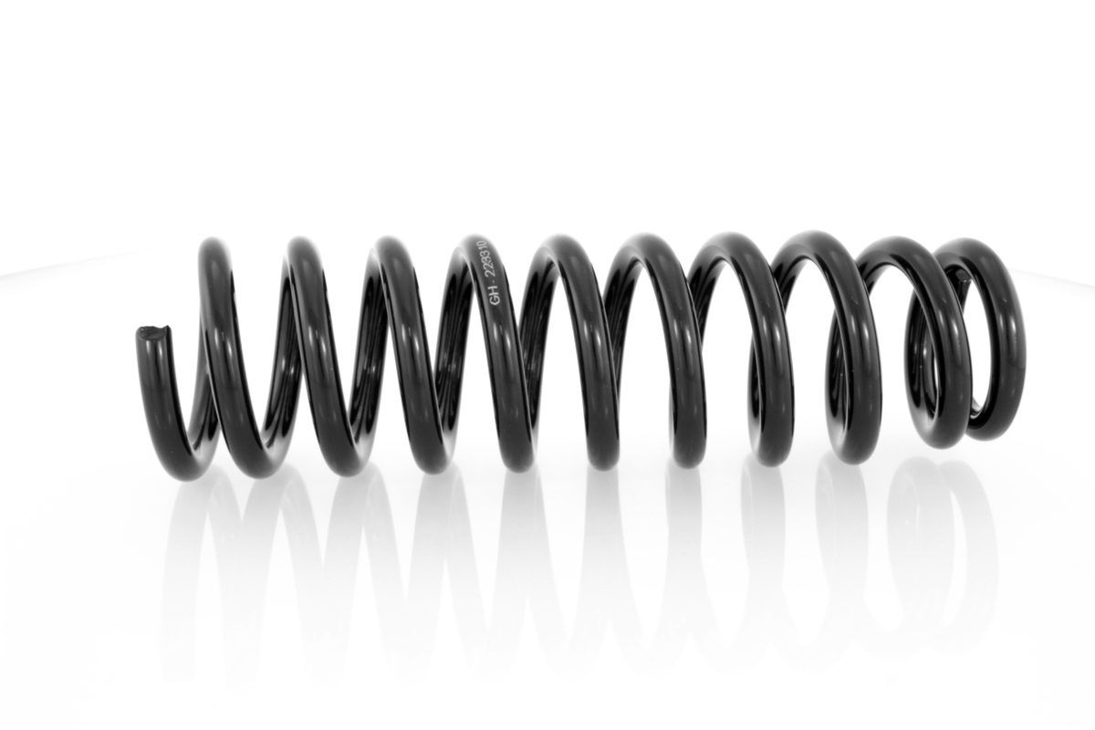 GH-223310