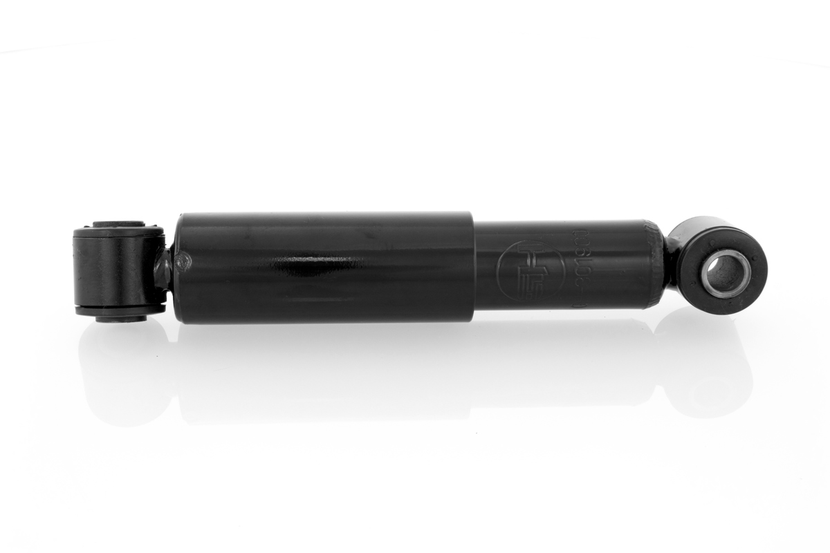 GH-301900_1