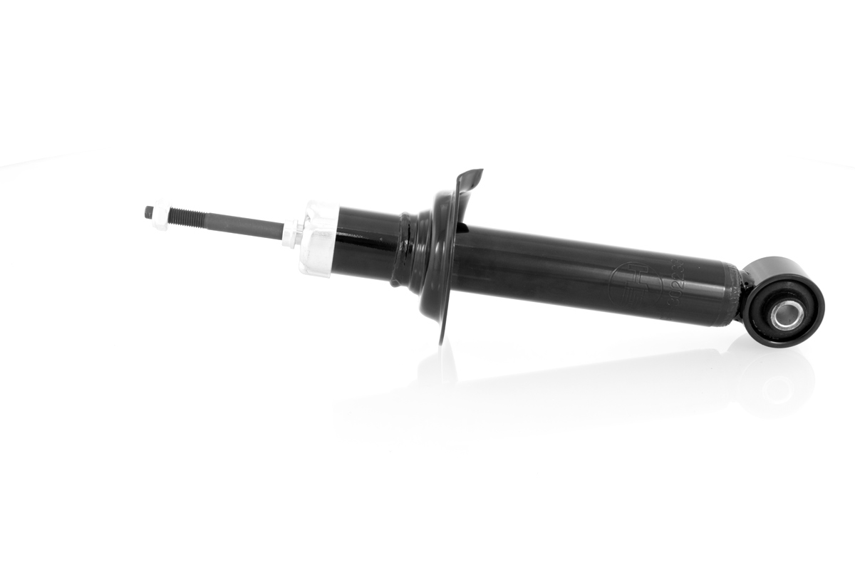 GH-302233