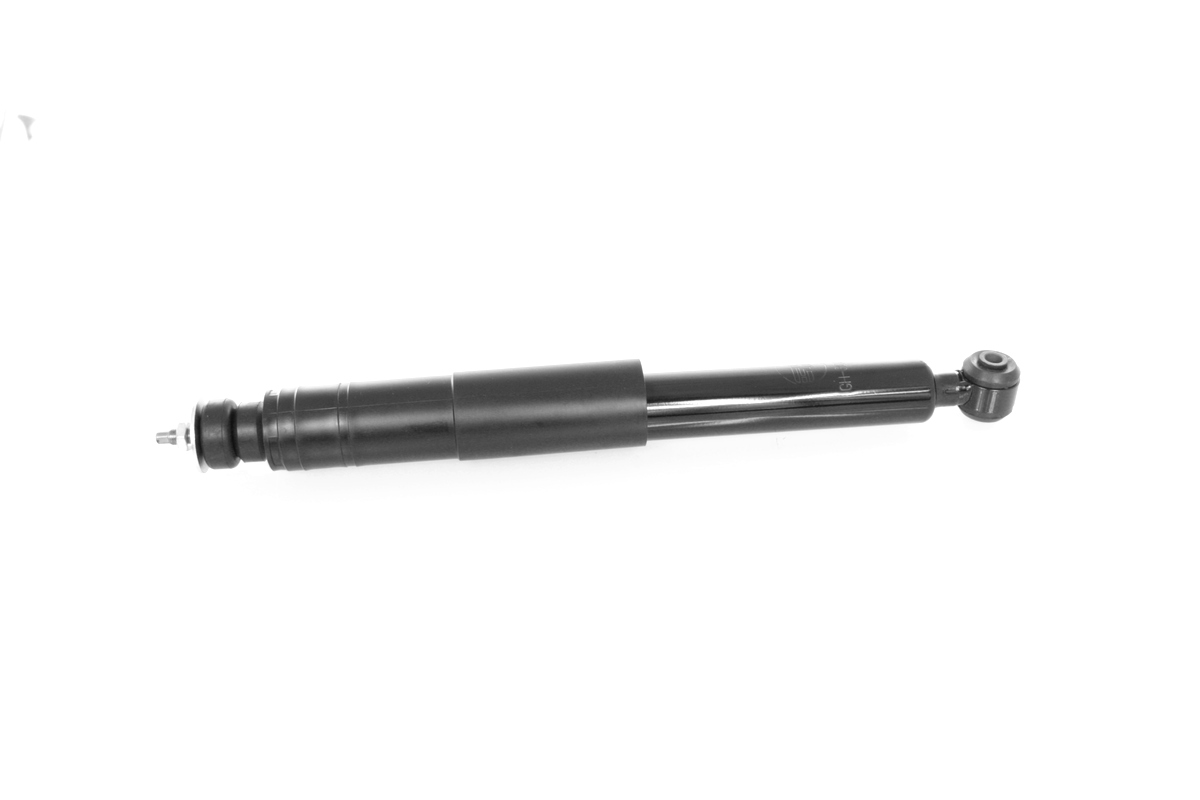 GH-303330_1