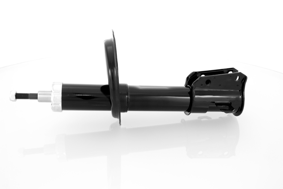 GH-322352_1