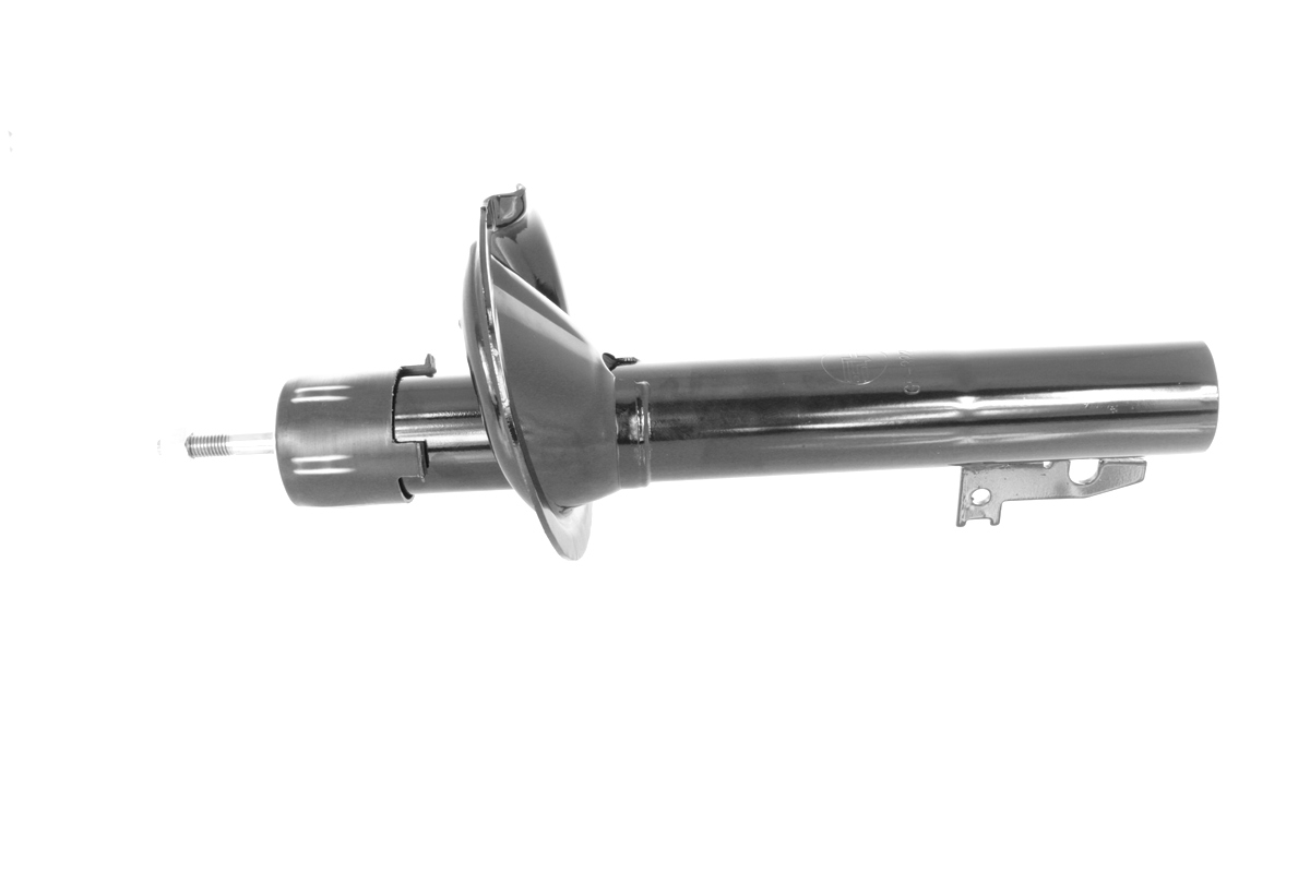 GH-322550_1