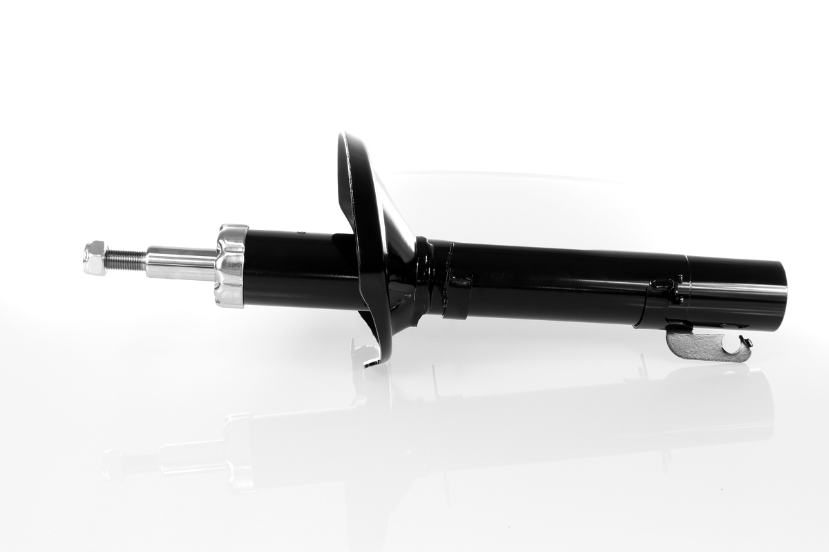 GH-324710_1