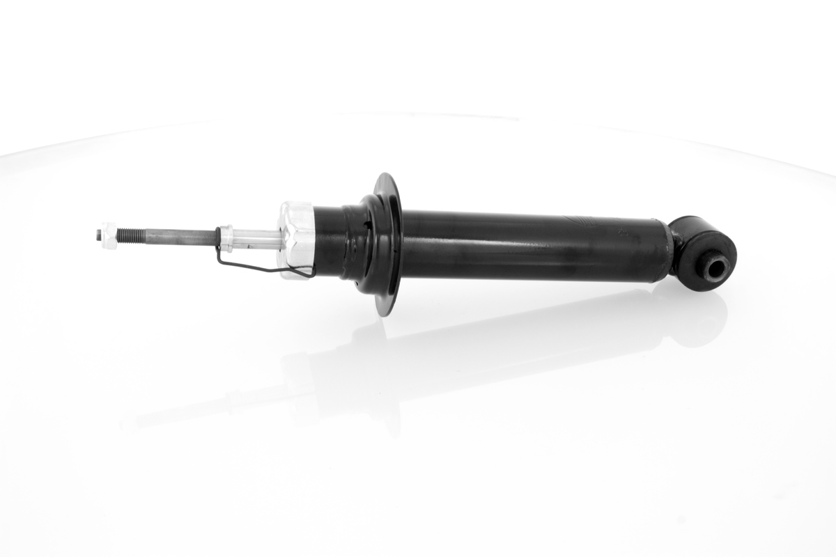 GH-332252_1