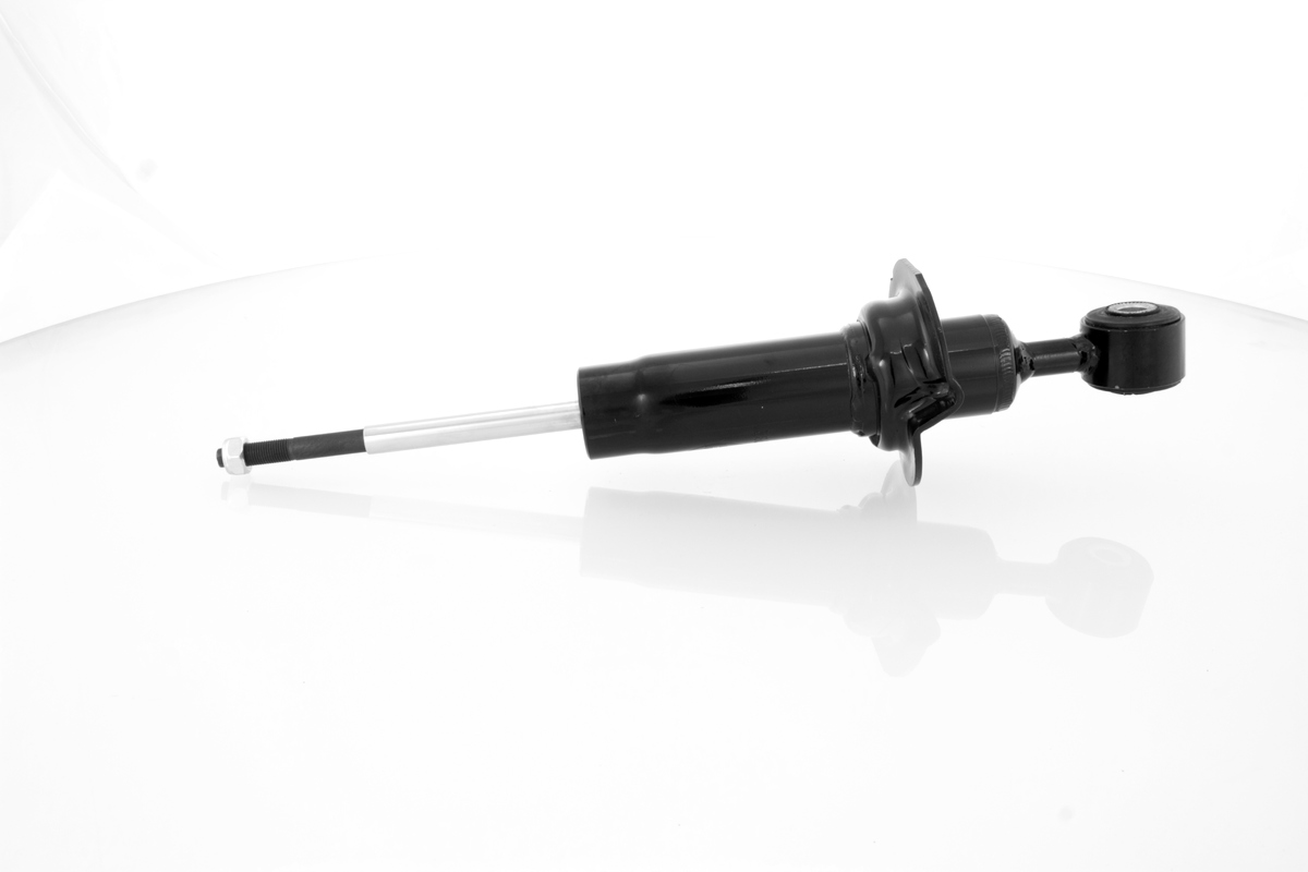 GH-332282_1
