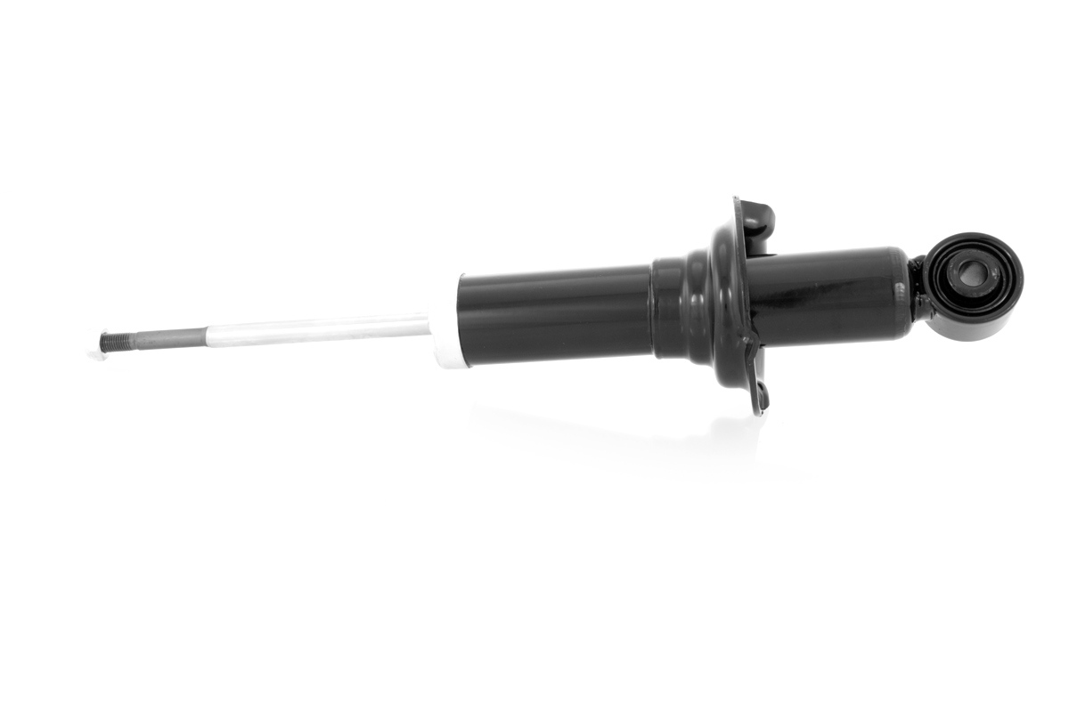 GH-332636_1