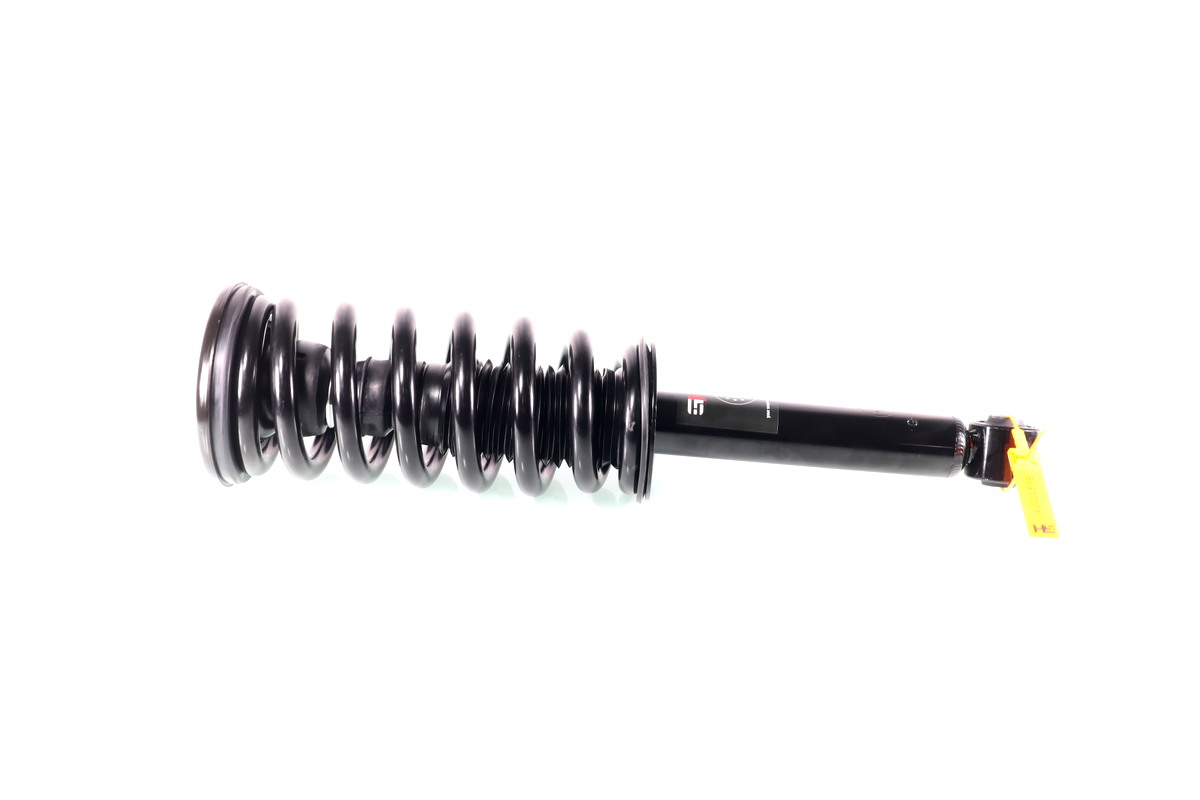 GH-333013C00_1