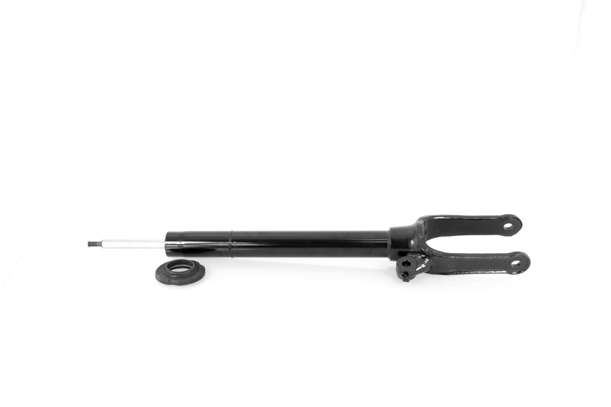 GH-333362_1