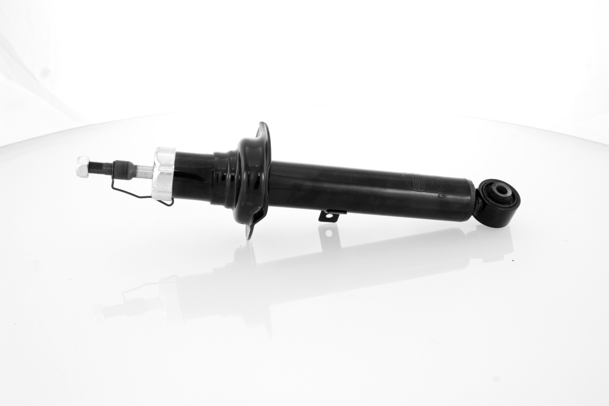 GH-336319_1