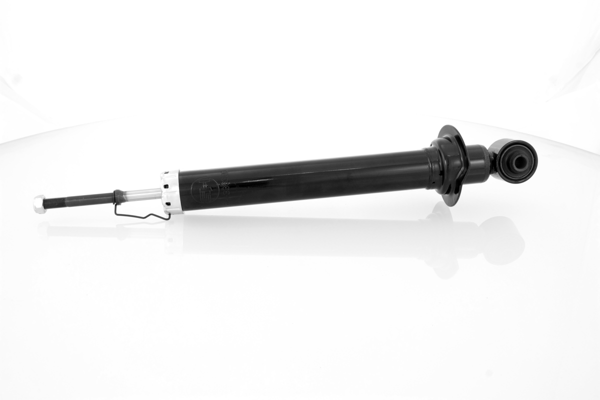 GH-336320_1