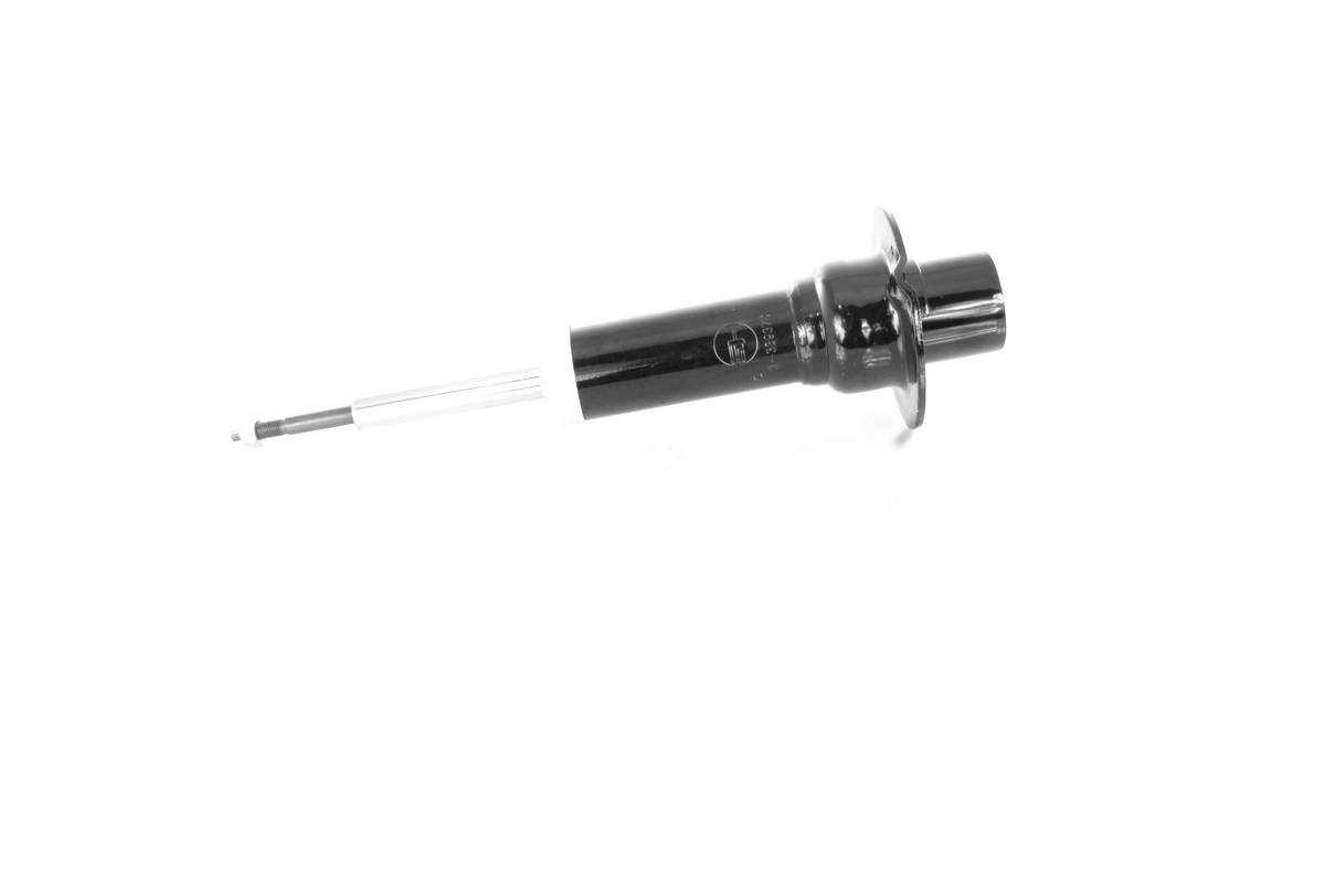 GH-339379_1