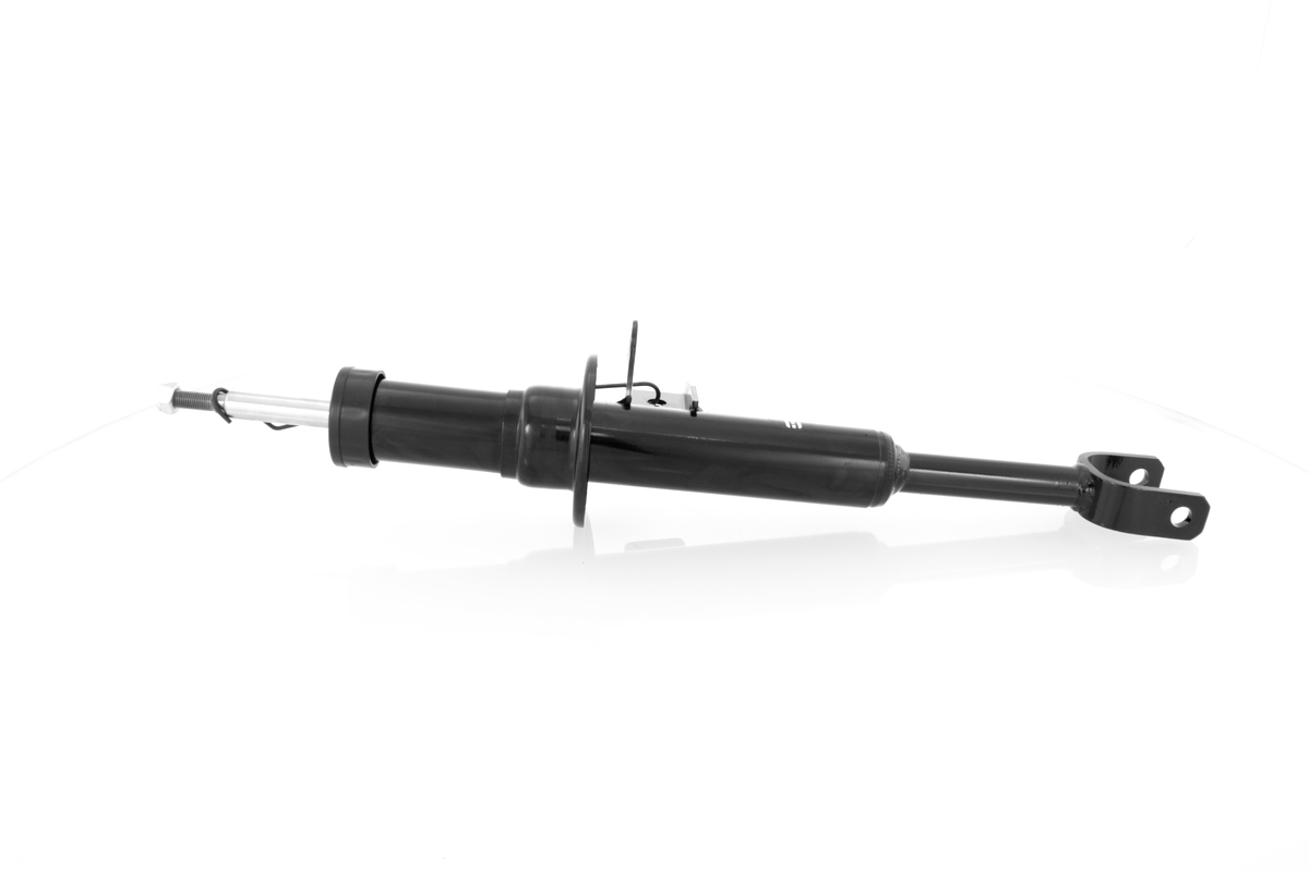 GH-351519V_1