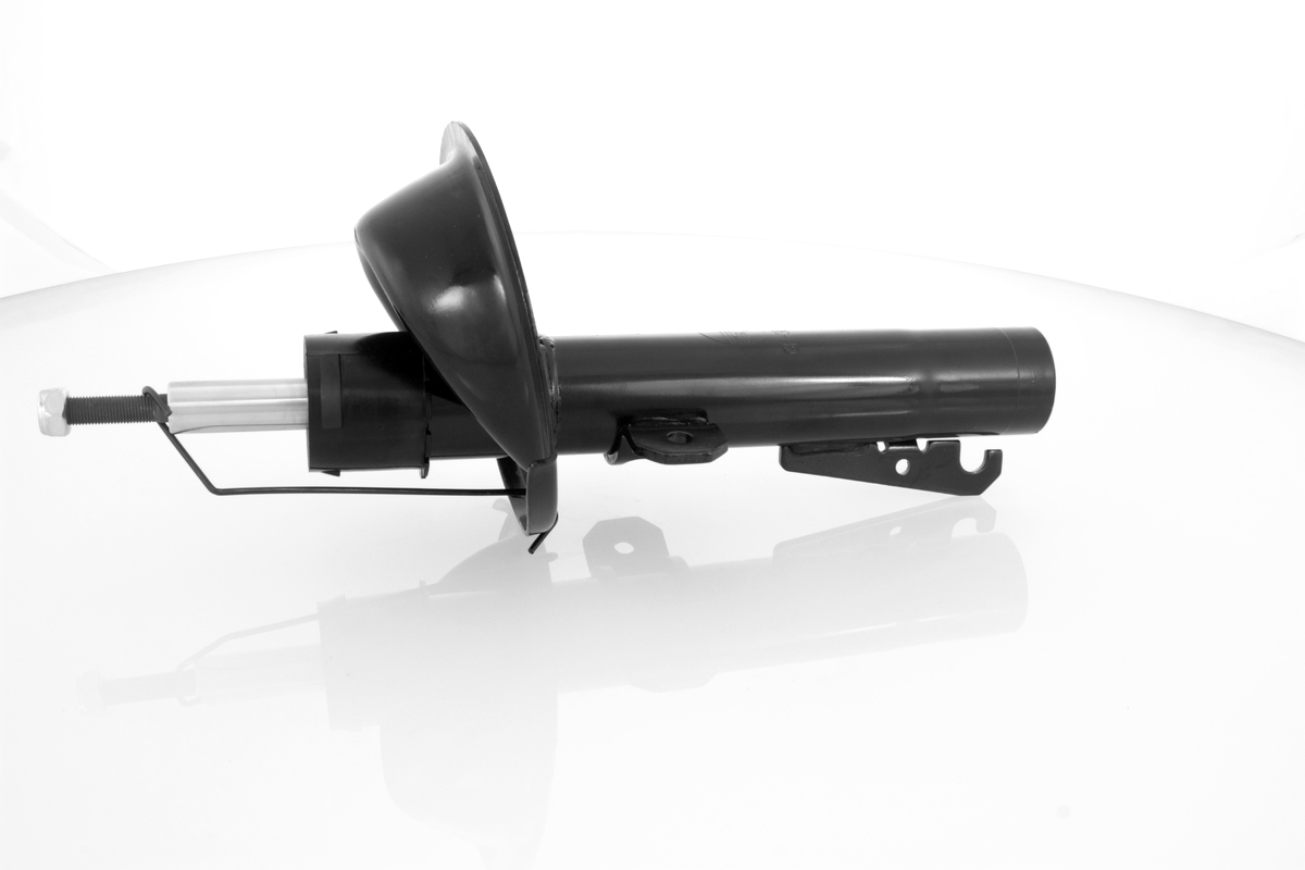 GH-352561_1