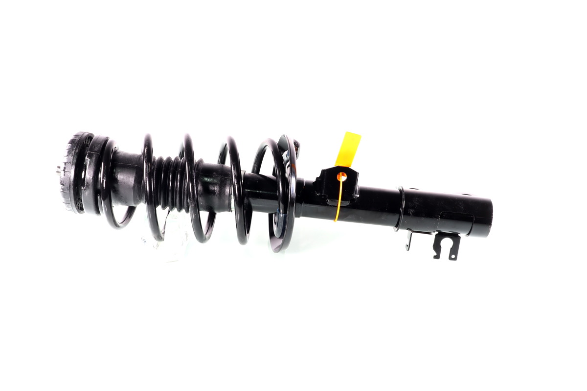 GH-355079C00_1