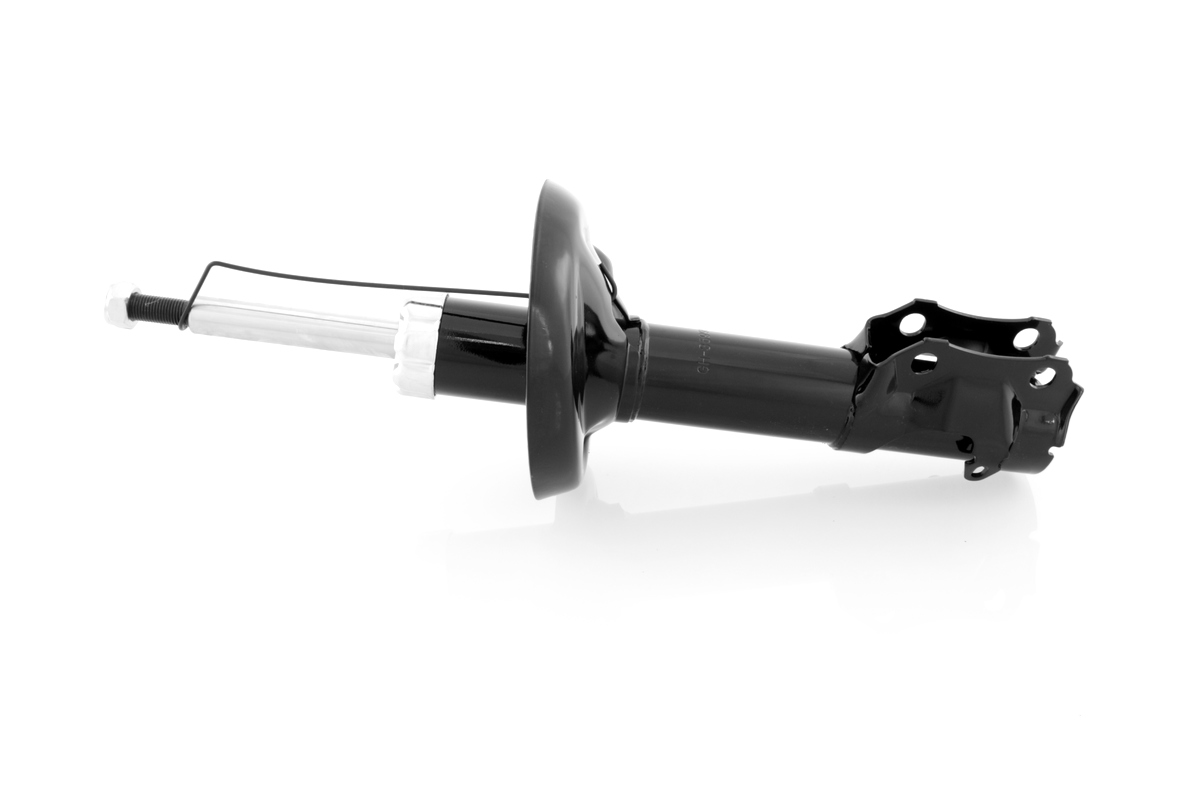 GH-359950_1