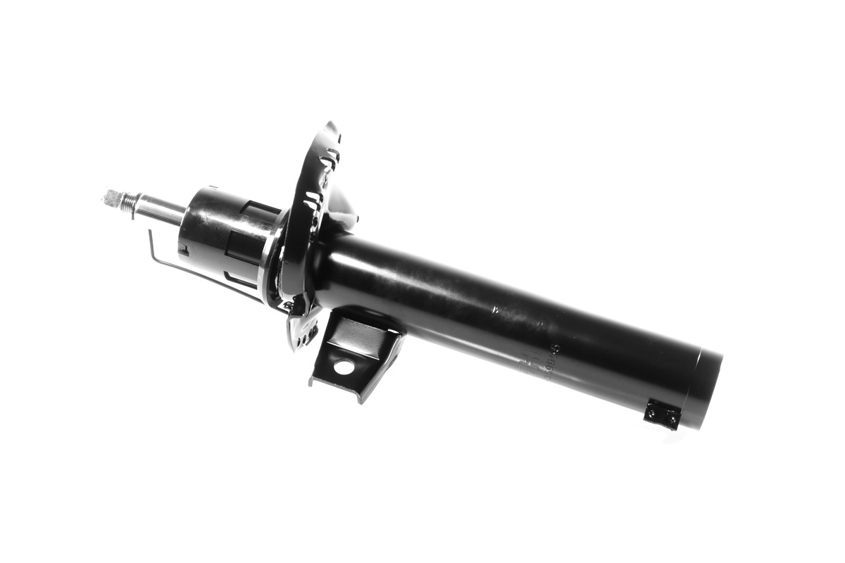 GH-359955_1