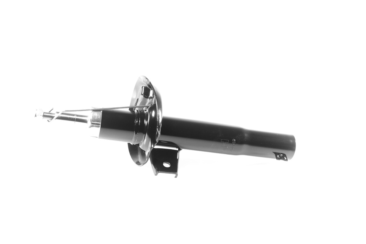 GH-359962_1