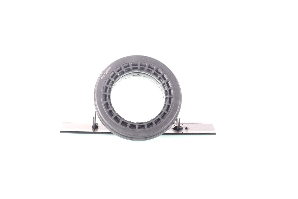 GH-365054_1