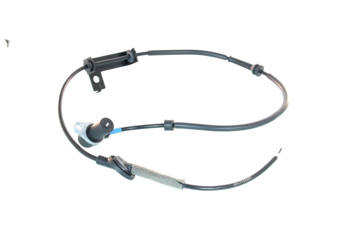 GH-713436V_1