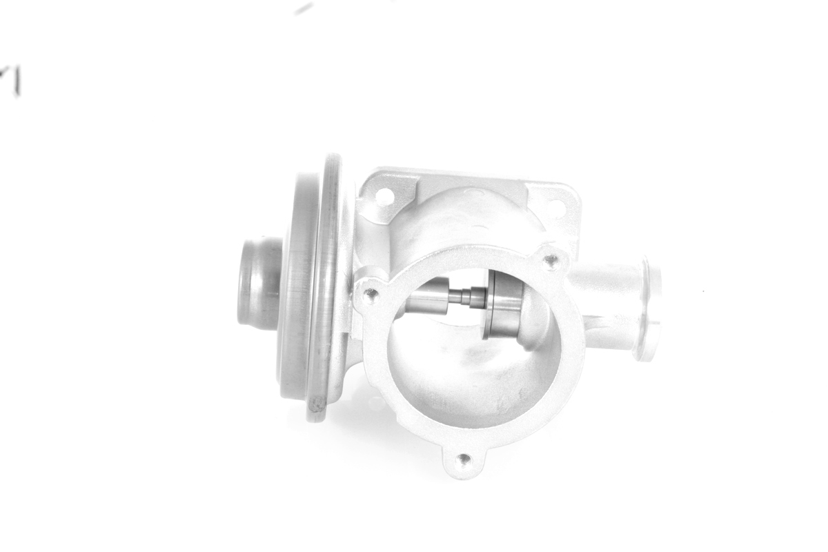 GH-731560_1